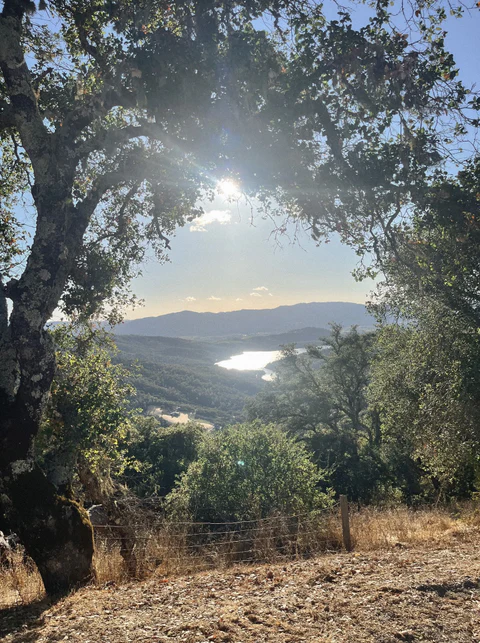 Sunlight over the Sage Ridge landscape