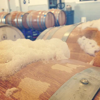 Foaming Chardonnay fermentation at the opening of a barrel