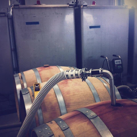 A winery hose transferring red wine into a barrel